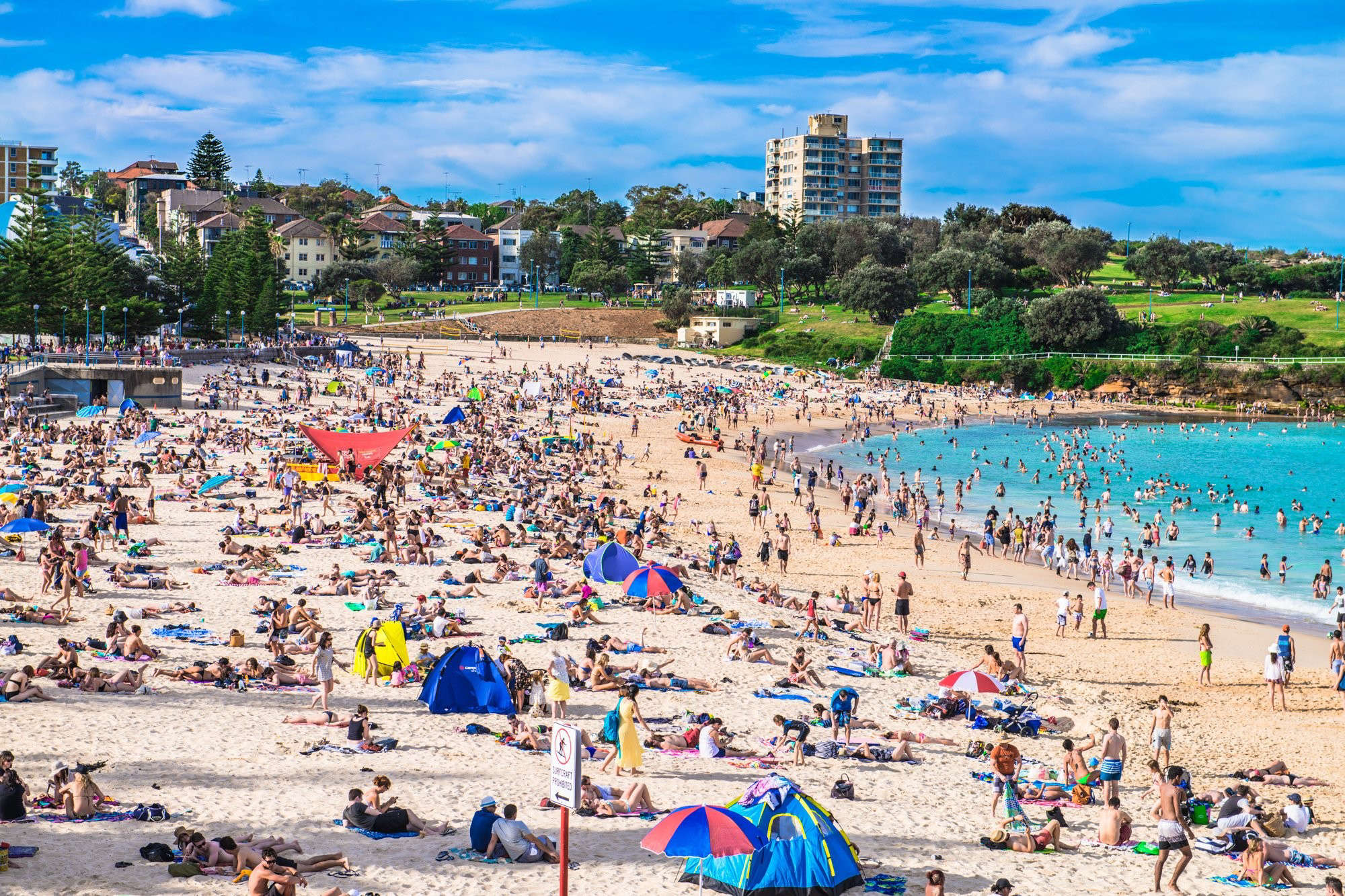 Silard Toth Coogee Beach  Crowd  blinq art